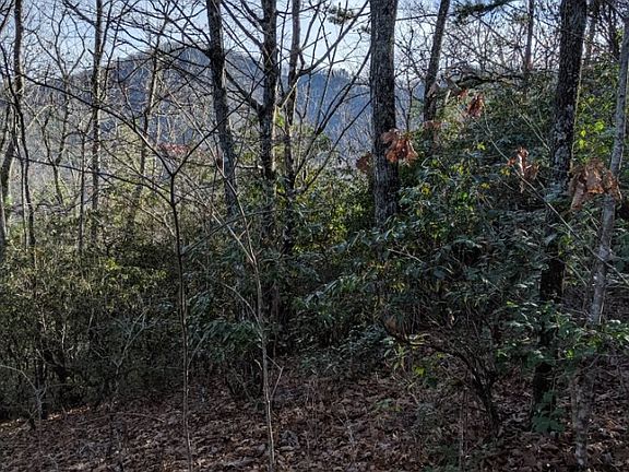 3rd image of Laurel Mountain Rd