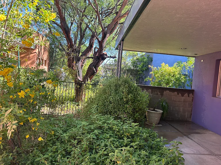 3203 E Terra Alta Blvd #B — Photo 25