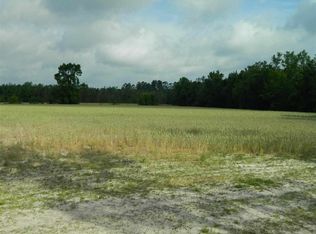 1729 Wise Chapel Ct, Marion, SC 29571