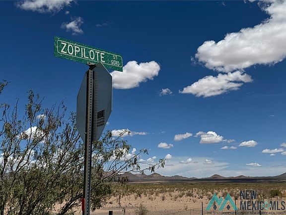 5th image of Zopilote St