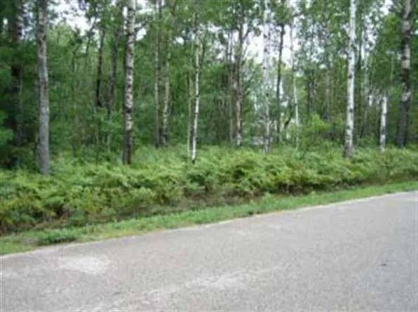 6947 Tremble Trl, Pellston, MI 49769
