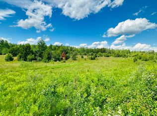 Hawks Dr PARCEL D, Republic, MI 49879