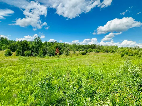 Hawks Dr Parcel D, Republic, MI 49879