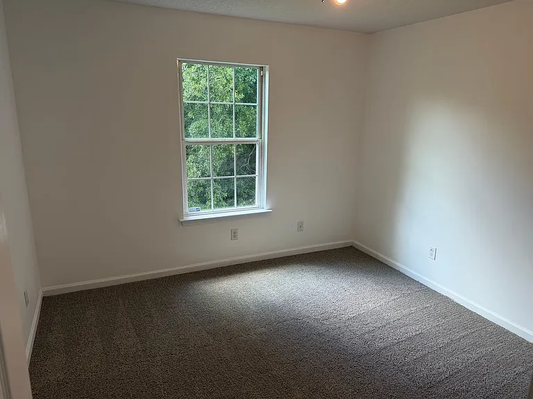 244 Merriwood Cir — Photo 9