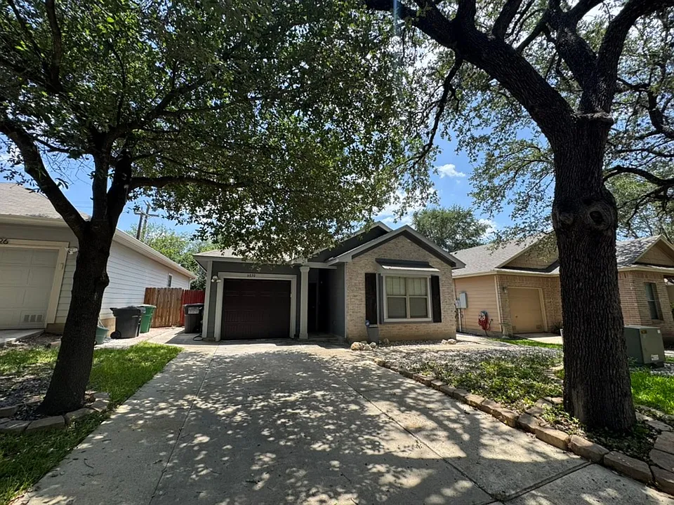 6030 Pecan Tree