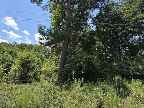 4th image of 7161 Molton Rd