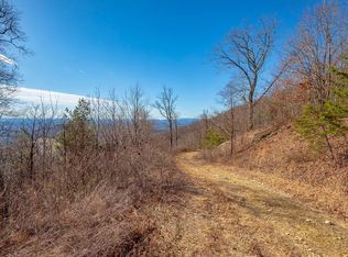 LOT 118 Spring Pond Trl, Fancy Gap, VA 24328