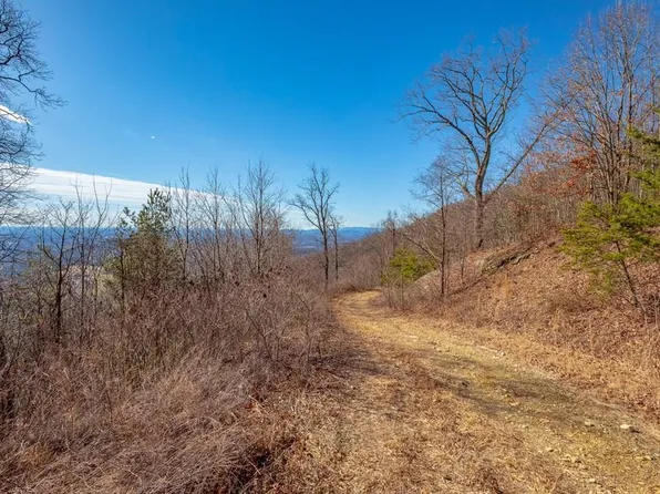 LOT 118 Spring Pond Trl, Fancy Gap, VA 24328