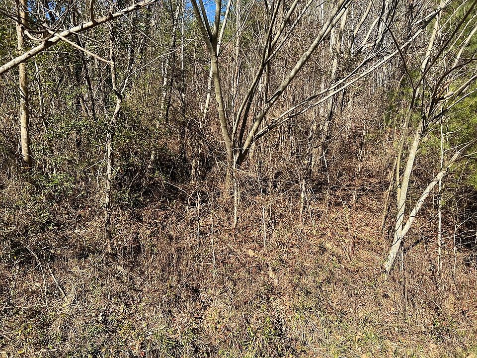 2nd image of 0 Bluets Rd Lot 8