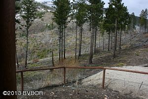 IMG_3419