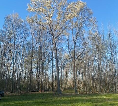3rd image of Gaines Rd Lot 6