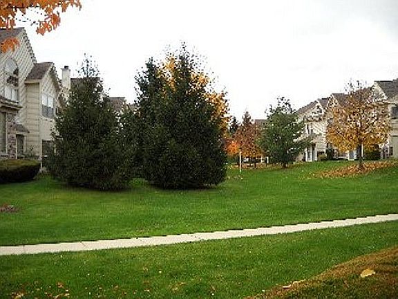 View of Courtyard