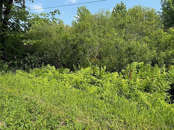 2nd image of Cobb Dr