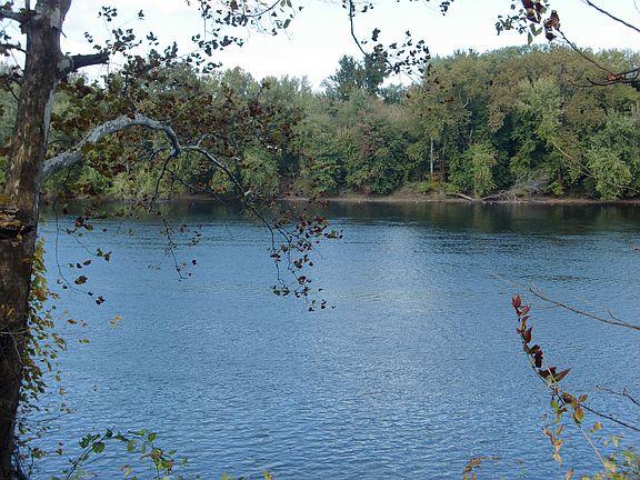 Catch Your Bass Here!