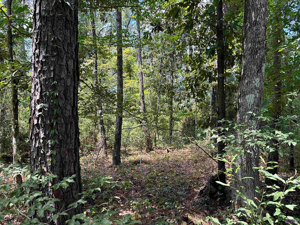 2nd image of 23360 State Highway 441