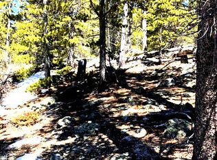 0 Beaver Rd, Idaho Springs, CO 80452