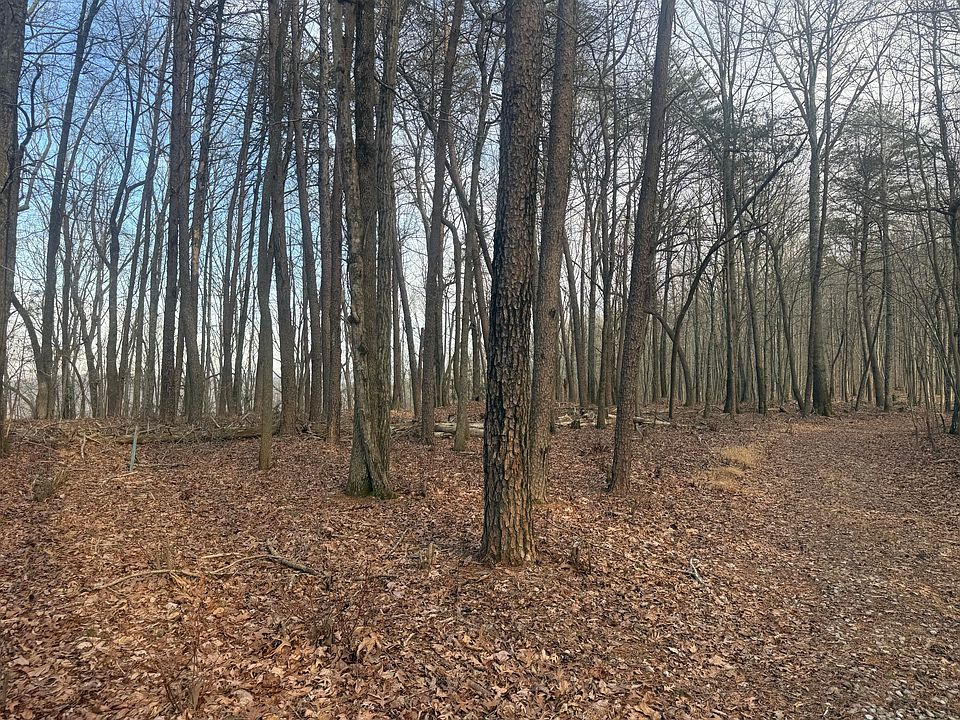 1st image of 0 Shivas Crest Crst #70B