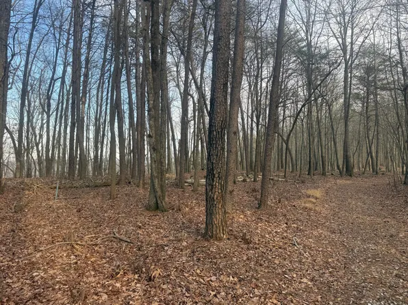 0 Shivas Crest Crst #70B, Rising Fawn, GA 30738