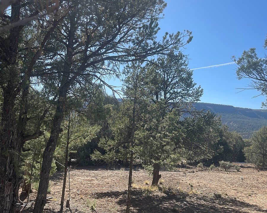 Cedar Loop Pinon Rdg, Los Ojos, NM 87551 Zillow
