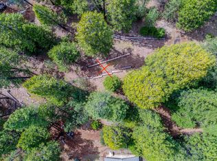 25594 Overland Dr, Volcano, CA