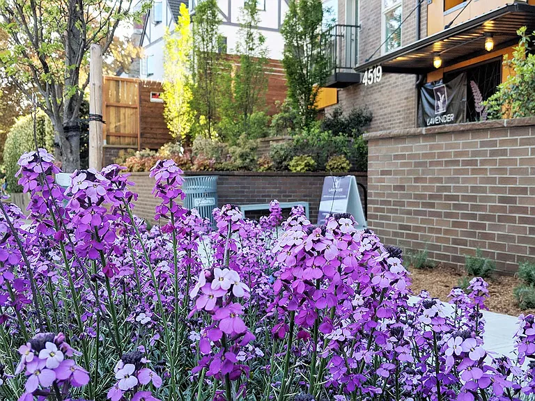 Lavender Apartments — Photo 9