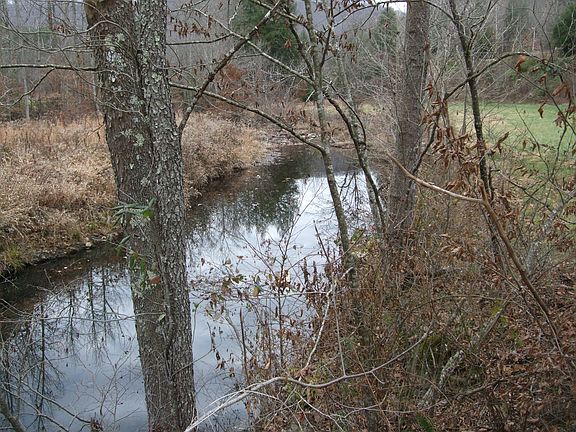 Creek at front of Property