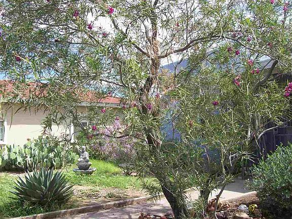 3rd image of 113 S San Pedro St