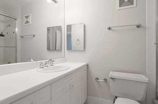 111 E Chestnut St #52J — Photo 8