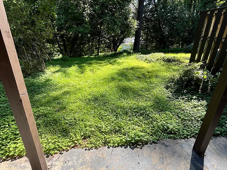 back yard/ patio