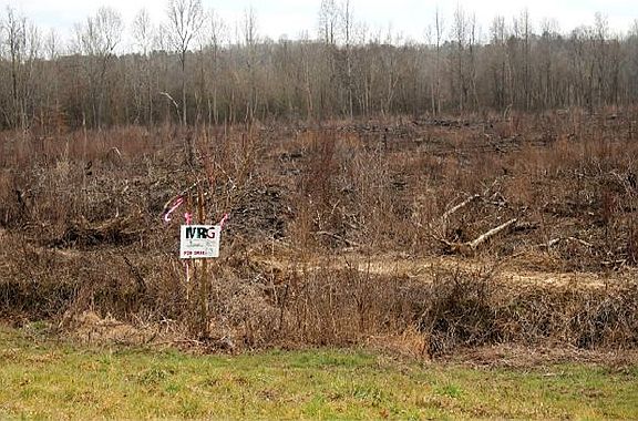 4th image of 680 County Road 300