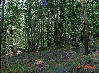 Wooded yet convenient to shopping