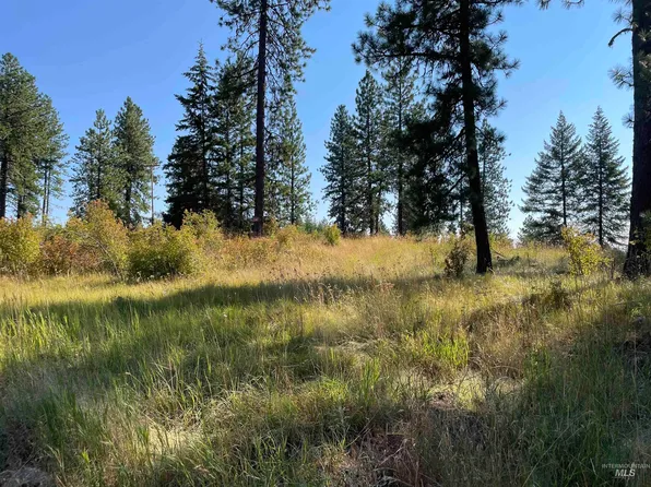 Tbd Dent Bridge Rd, Orofino, ID 83544