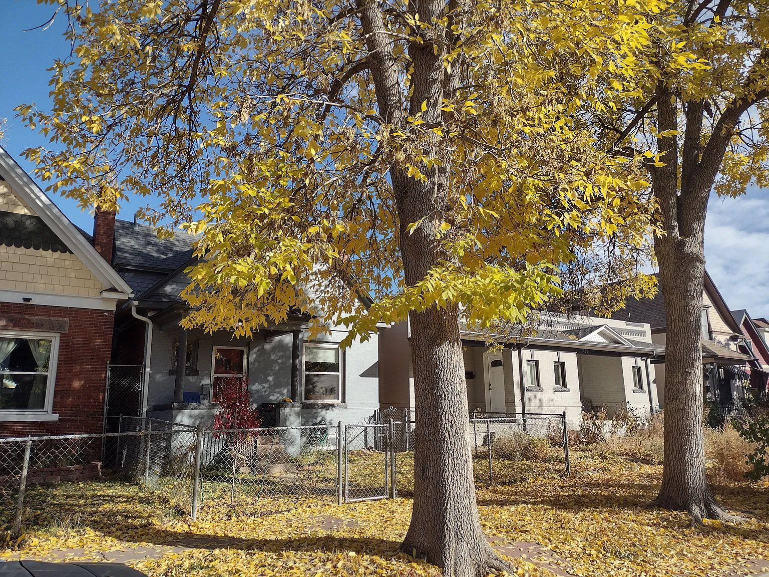 2 bed, 1313 sqft, $2,950 — Photo 2