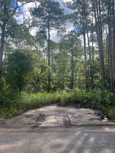 4515 Melanie St, Hastings, FL, 32145