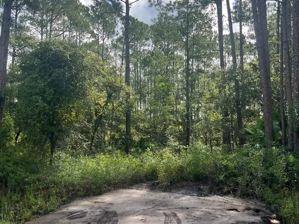 4515 Melanie St, Hastings, FL 32145