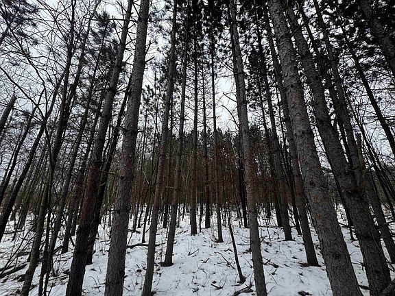 5th image of 81.64 AC 28th St Acres