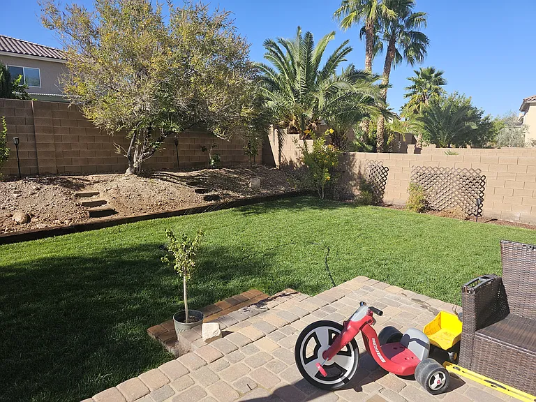 REAL GRASS Backyard
