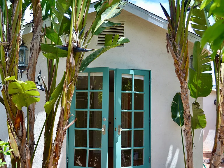 French doors with bird of paradise and steps to garden off master bedroom.