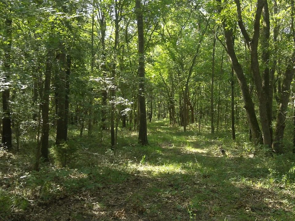 2nd image of 7 N East Tellico Rd #75