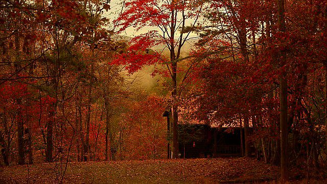 Fall in the mountains