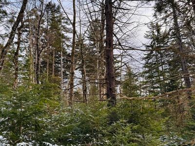 0 Spruce Dr, Hinsdale, MA, 01235