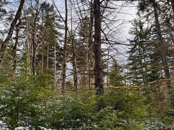 0 Spruce Dr, Hinsdale, MA 01235