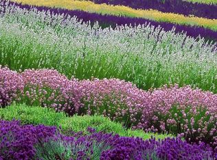 Buckhorn, Sequim, WA 98382