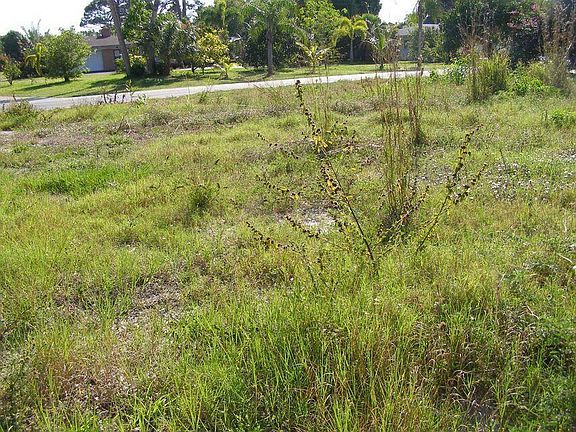 5th image of 506 NE Oleander Avenue