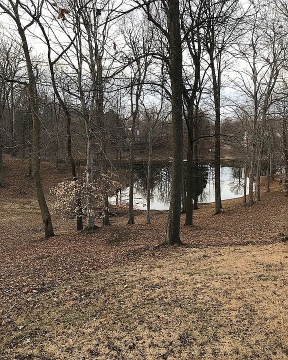1st image of 226 Redbud Ln