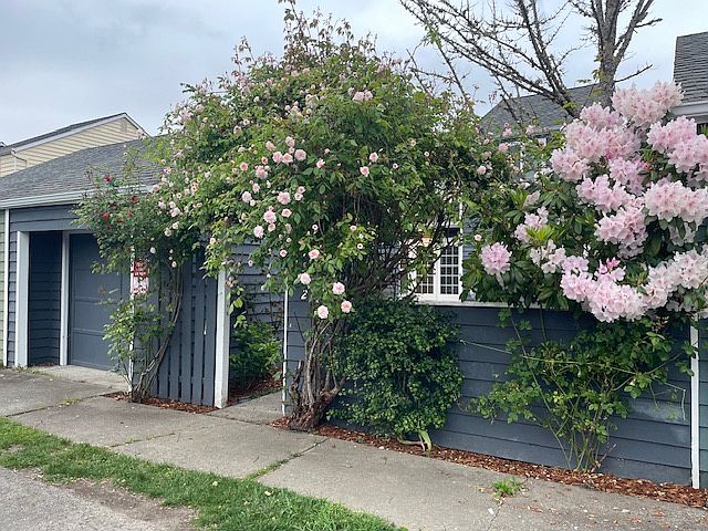 1st image of 19592 1st Ave NE