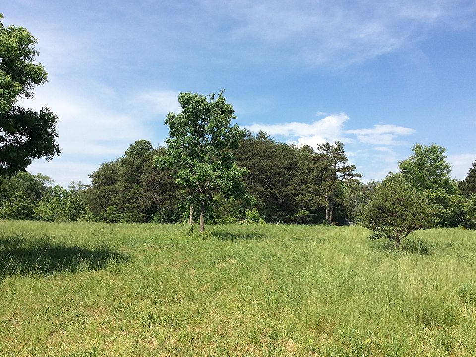 2nd image of Norton Pond