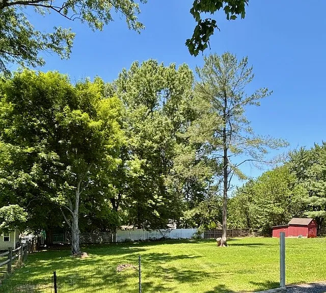7102 Crystal Ct — Photo 18