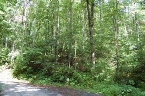 2nd image of 200 Shagbark Rd