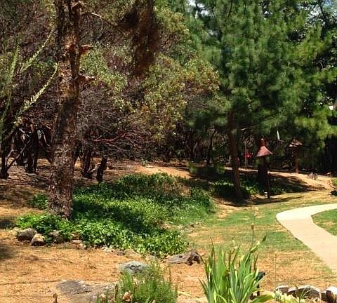 5th image of 5894 Meadow Ln